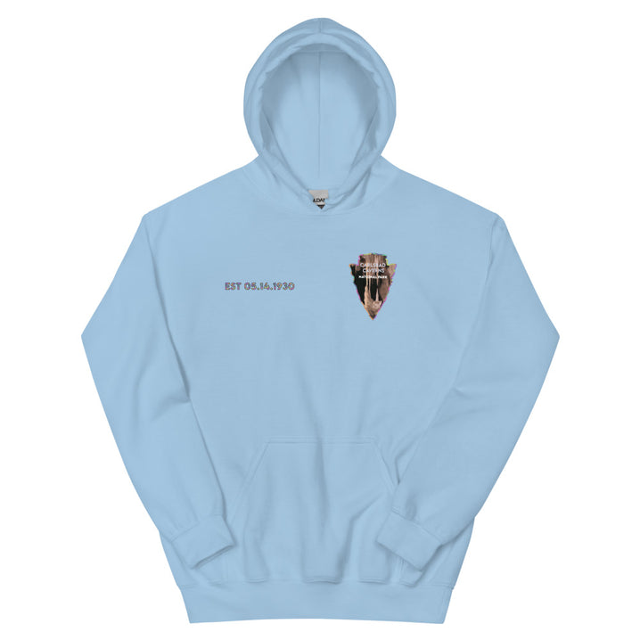 Carlsbad Caverns National Park Men's Hoodie - Established Line