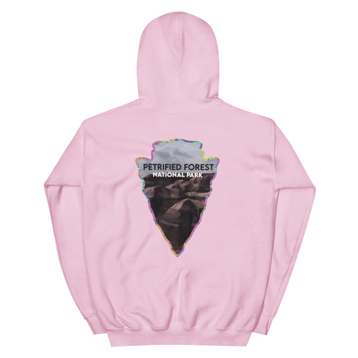 Petrified Forest National Park Men's Hoodie - Established Line