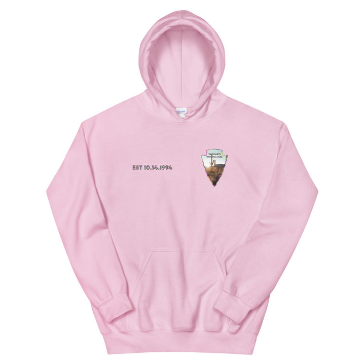 Saguaro National Park Men's Hoodie - Established Line