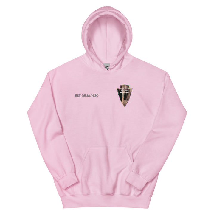 Carlsbad Caverns National Park Men's Hoodie - Established Line