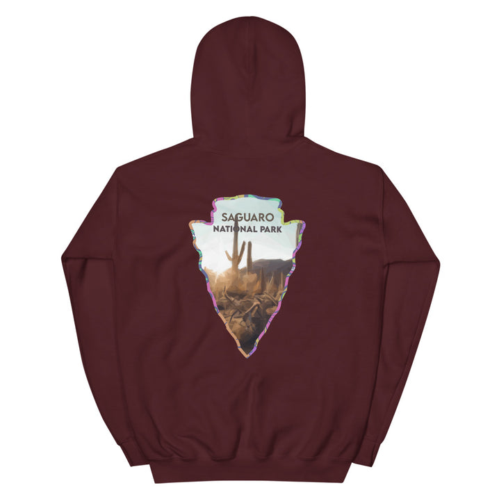 Saguaro National Park Men's Hoodie - Established Line