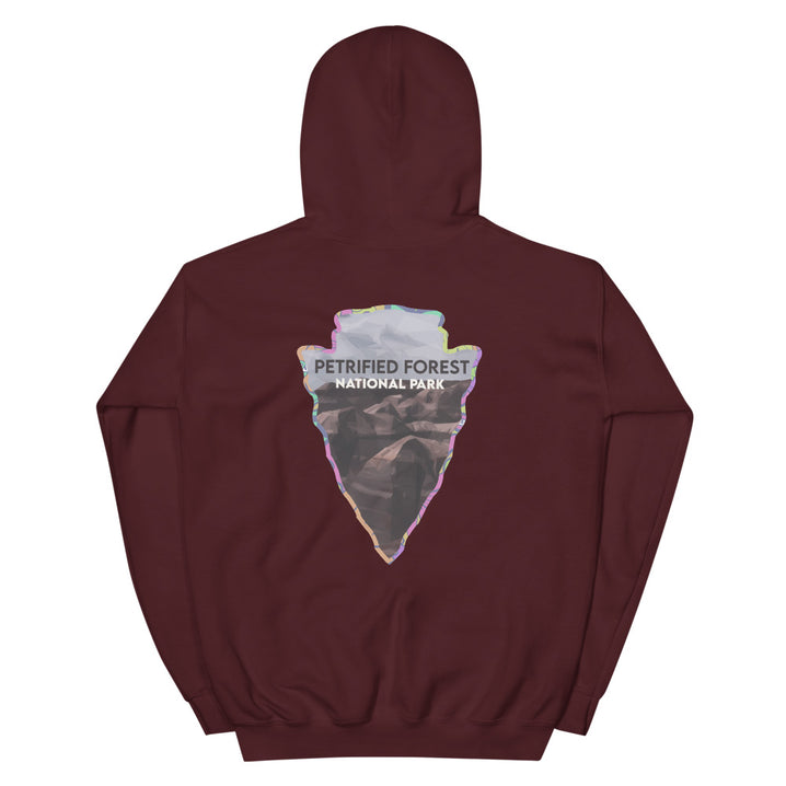 Petrified Forest National Park Men's Hoodie - Established Line