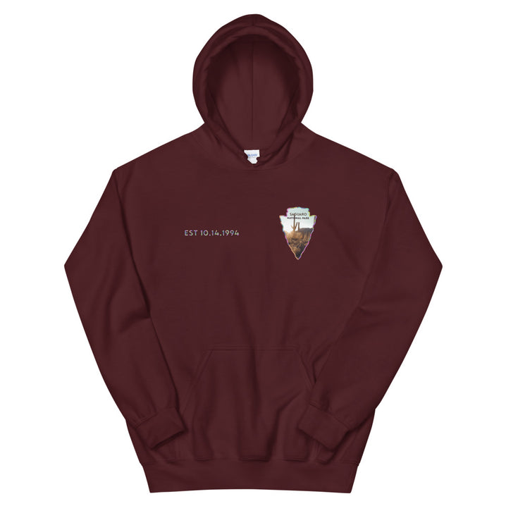 Saguaro National Park Men's Hoodie - Established Line
