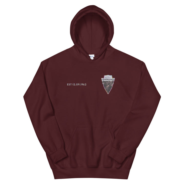 Petrified Forest National Park Men's Hoodie - Established Line