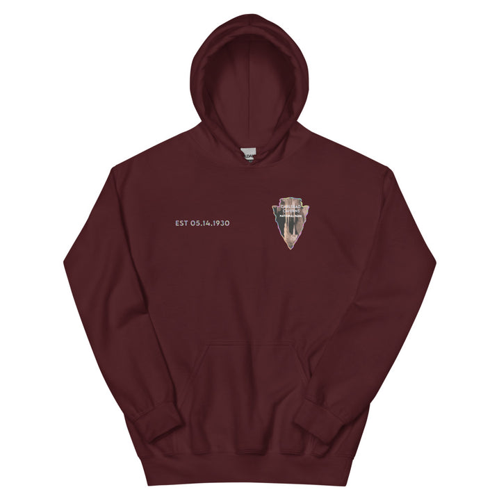 Carlsbad Caverns National Park Men's Hoodie - Established Line