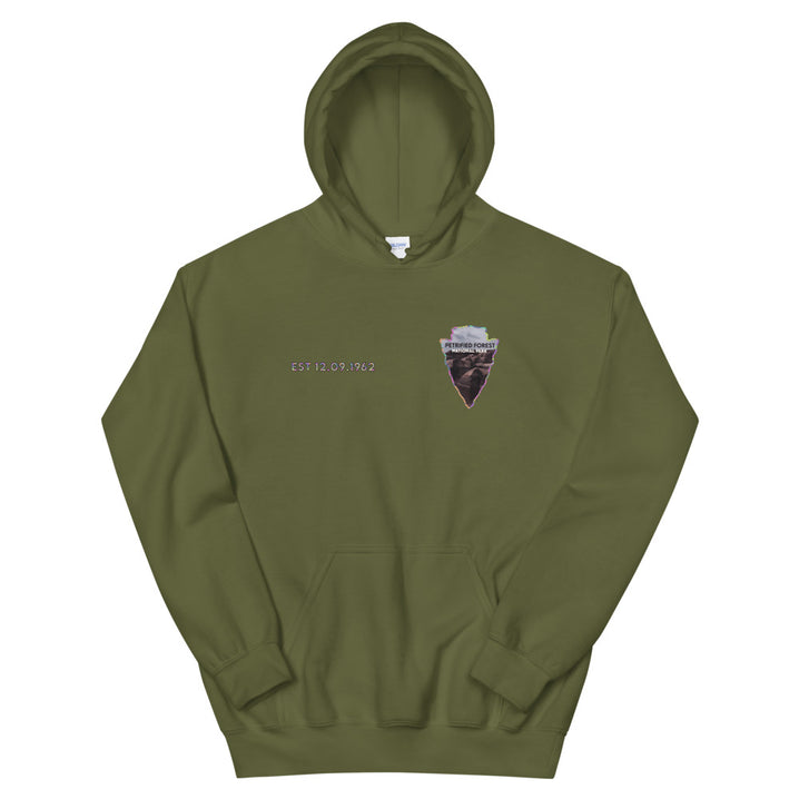 Petrified Forest National Park Men's Hoodie - Established Line
