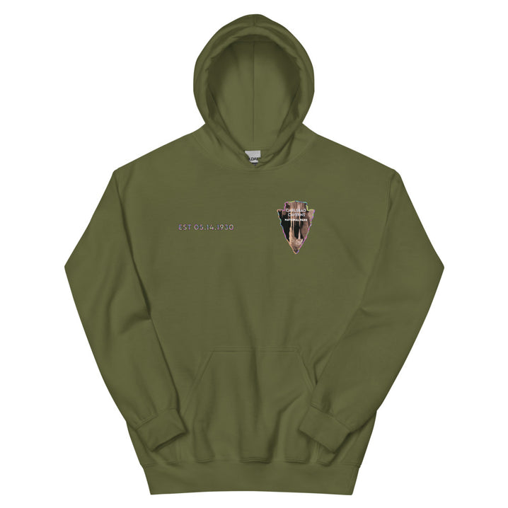 Carlsbad Caverns National Park Men's Hoodie - Established Line