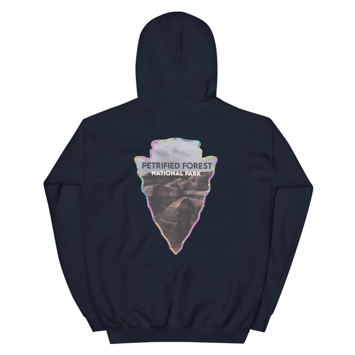 Petrified Forest National Park Men's Hoodie - Established Line