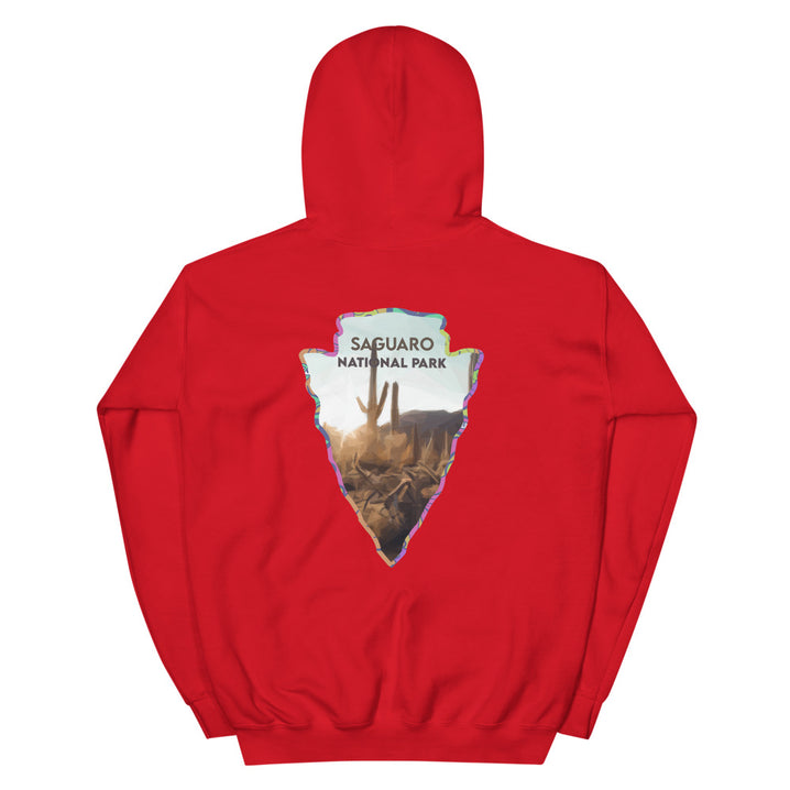 Saguaro National Park Men's Hoodie - Established Line