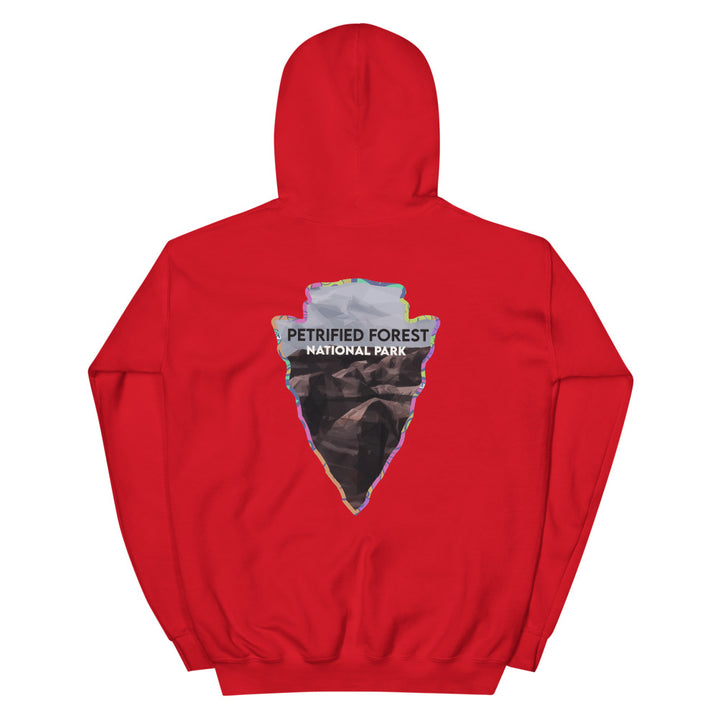Petrified Forest National Park Men's Hoodie - Established Line