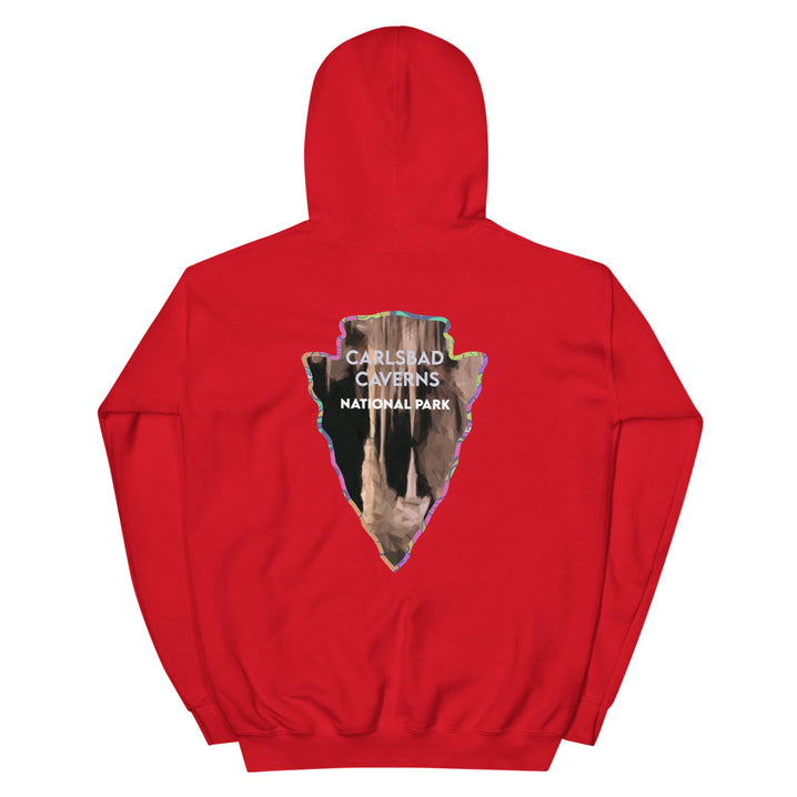 Carlsbad Caverns National Park Men's Hoodie - Established Line