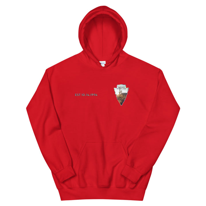 Saguaro National Park Men's Hoodie - Established Line