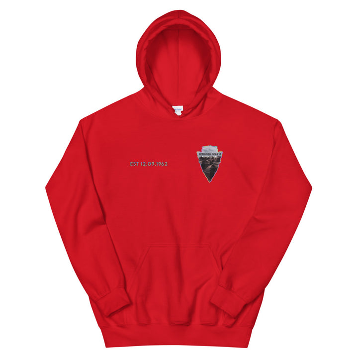 Petrified Forest National Park Men's Hoodie - Established Line