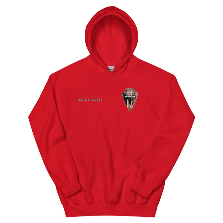 Carlsbad Caverns National Park Men's Hoodie - Established Line