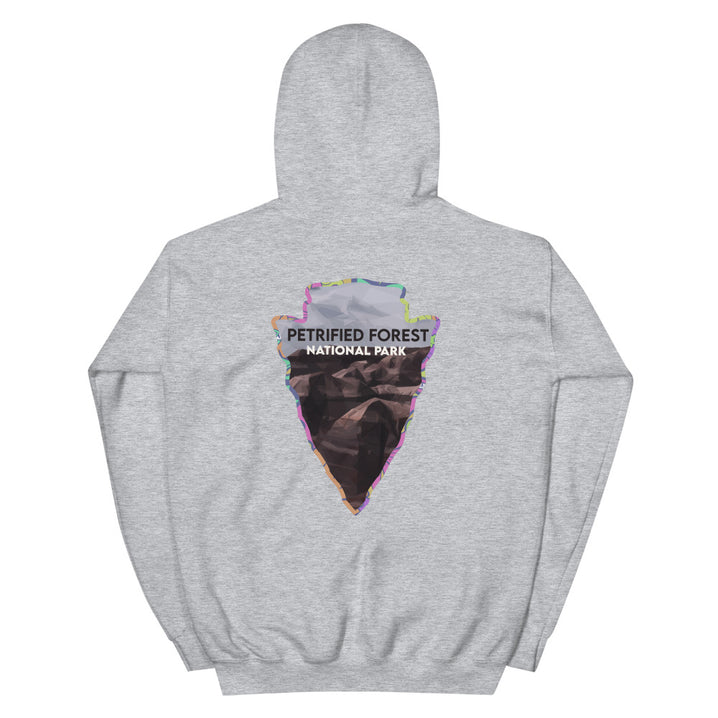 Petrified Forest National Park Men's Hoodie - Established Line