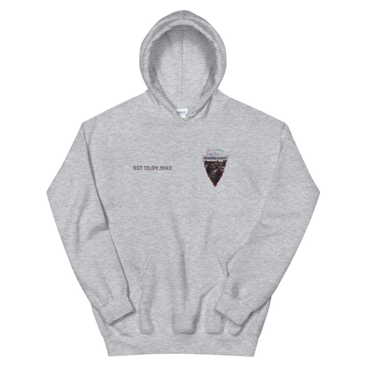 Petrified Forest National Park Men's Hoodie - Established Line
