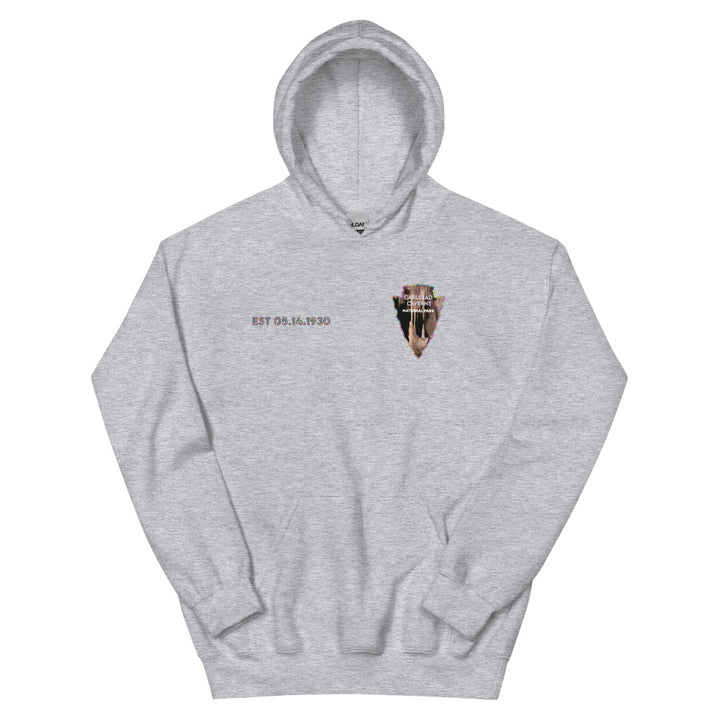 Carlsbad Caverns National Park Men's Hoodie - Established Line