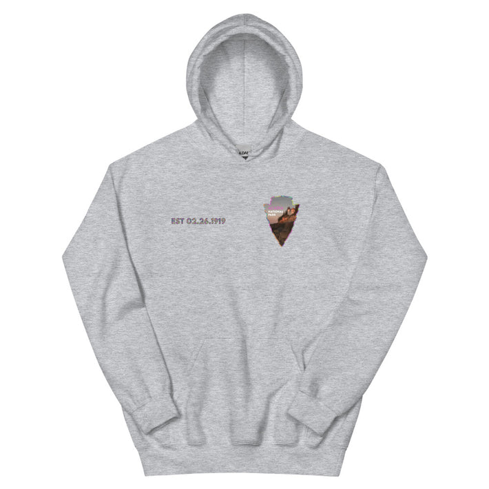 Acadia National Park Men's Hoodie - Established Line