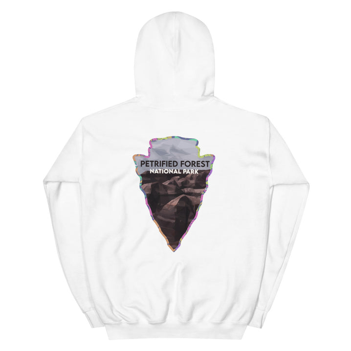Petrified Forest National Park Men's Hoodie - Established Line