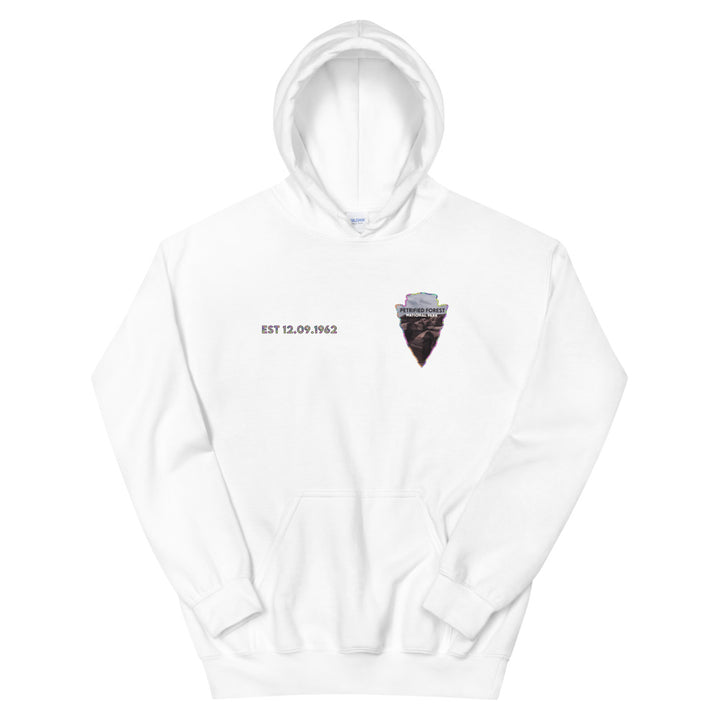 Petrified Forest National Park Men's Hoodie - Established Line