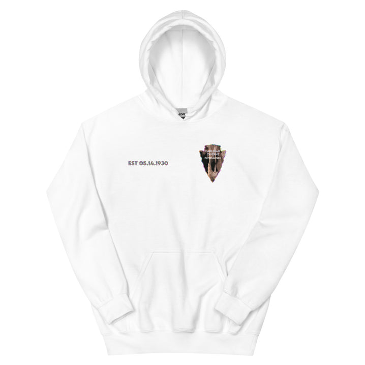 Carlsbad Caverns National Park Men's Hoodie - Established Line