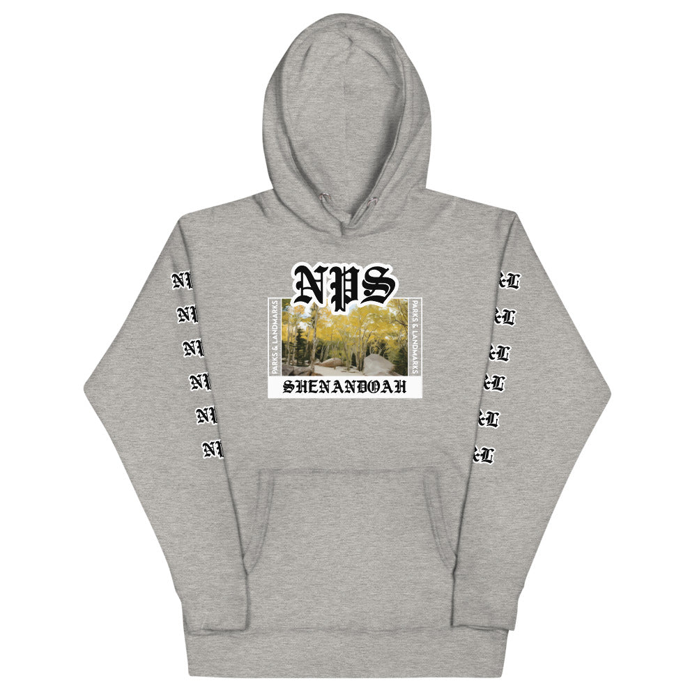 Shenandoah “Park Ages” Hoodie