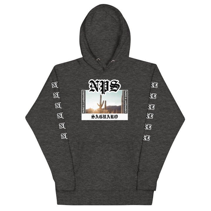 Saguaro “Park Ages” Hoodie
