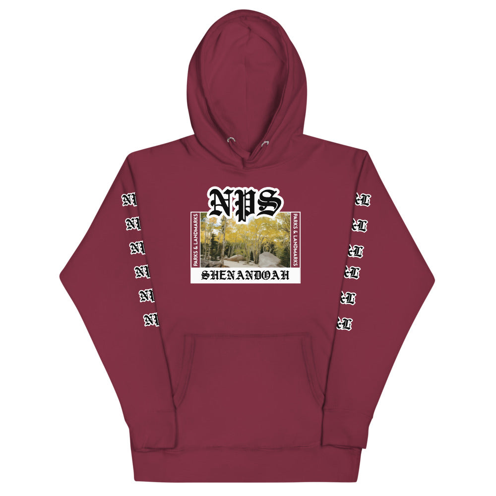 Shenandoah “Park Ages” Hoodie