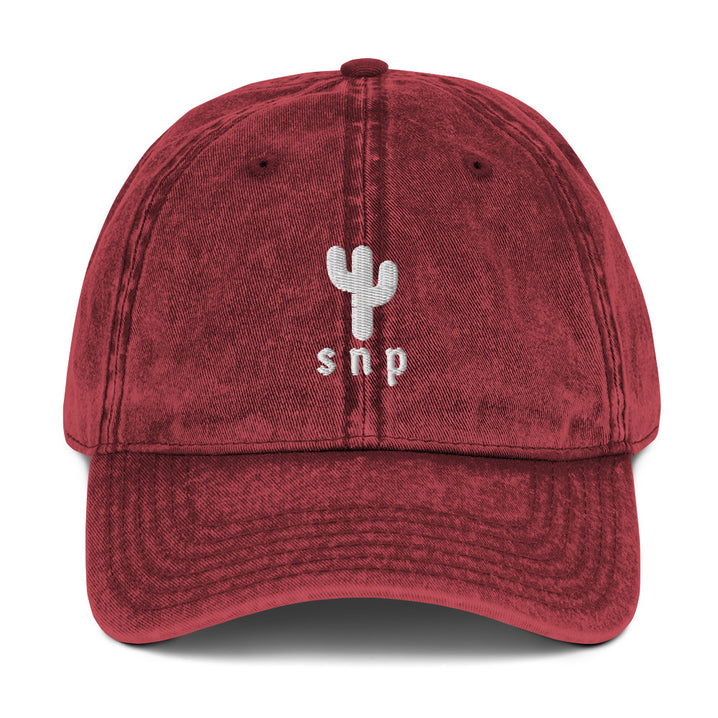 SNP Happy Cactus Hat - Saguaro National Park Embroidered Vintage Cap