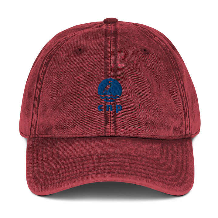 CNP Happy Blue Heron Dad Hat - Congaree National Park Embroidered Vintage Cap