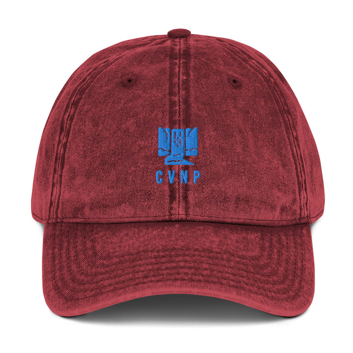 CVNP Happy Waterfall Dad Hat - Cuyahoga Valley National Park Embroidered Vintage Cap