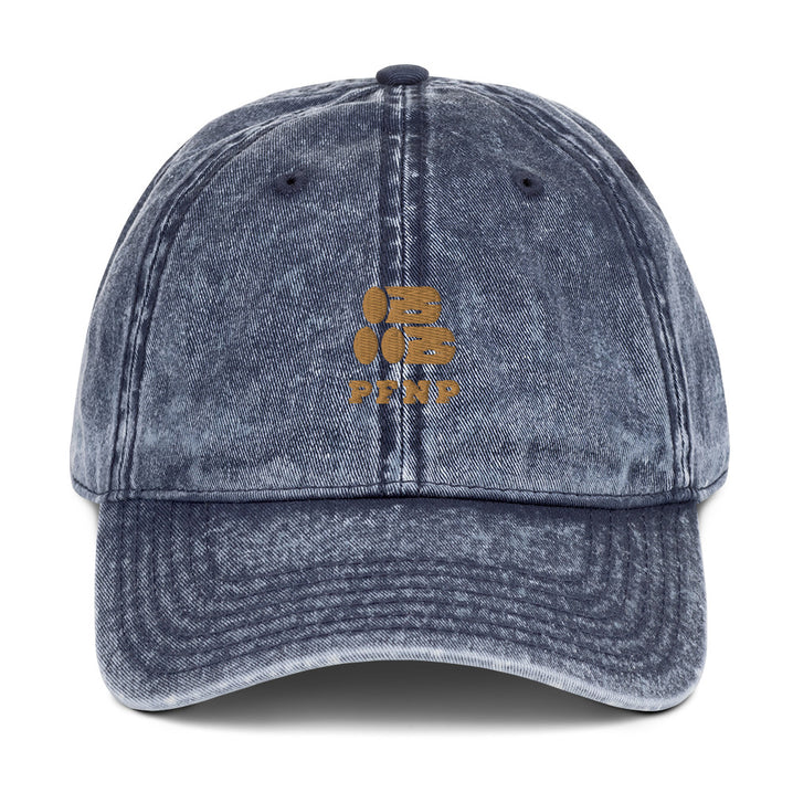 PFNP Happy Petrified Wood Dad Hat - Petrified Forest National Park Embroidered Vintage Cap