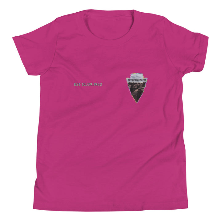 Petrified Forest National Park Kid's Shirt - Established Line